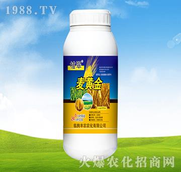 麥黃金-植翠-豐農(nóng)農(nóng)化