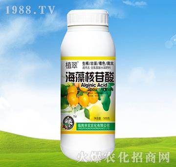 海藻核苷酸-植翠-豐農(nóng)農(nóng)化