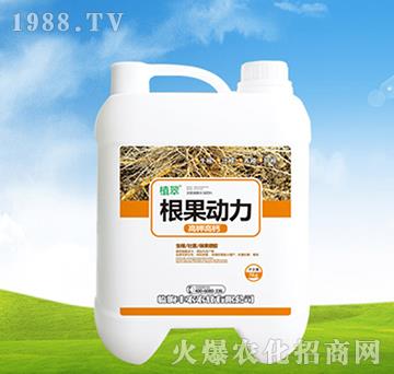 5kg������(d��ng)��-ֲ��-�S�r(n��ng)�r(n��ng)��