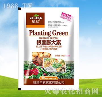 ���o�����-ֲ��-�S�r�r��