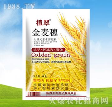 大量元素水溶肥料-金麥穗-豐農(nóng)農(nóng)化