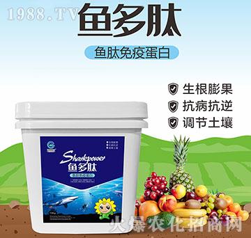 �~(y��)�����ߵ���-�~(y��)����-����(li��n)��