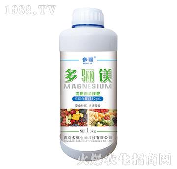 ���P�V��ƿ��-���P����