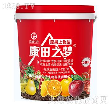 �����ɫ��-����֮��-��ʢ���r(n��ng)