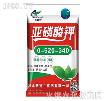 �������0-520-340-ʥ���m