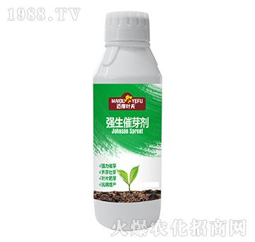 強(qiáng)力催芽劑-邁度葉夫