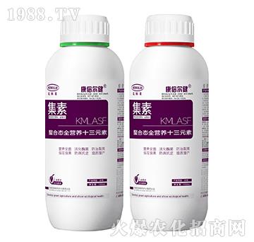 螯合態(tài)全營(yíng)養(yǎng)十三元素（瓶）-集素-康倍爾健-克姆萊