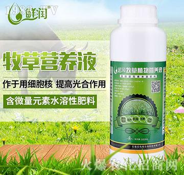 ���ݠI(y��ng)�B(y��ng)Һ-�r(n��ng)������