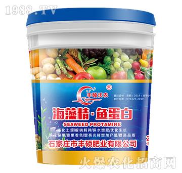 ���徫���~(y��)����-�S�T�ʘI(y��)