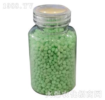 �w���V-���P����