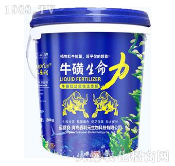 ����������-�@��Ԫ