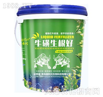 ����������-�@��Ԫ