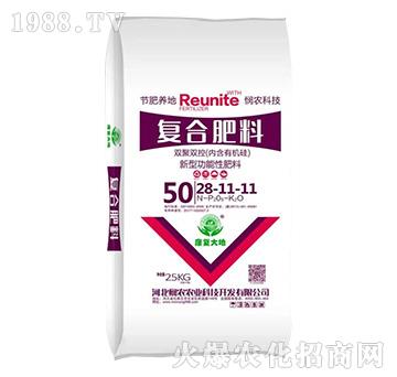 �p���p�؏ͺϷ���28-11-11-���r�r�I(y��)