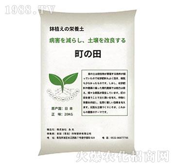 �֮��۠-����