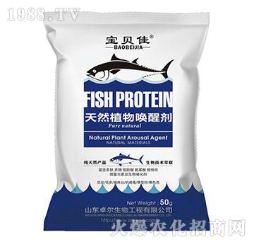 ��Ȼֲ��ф�-��ؐ��-׿��