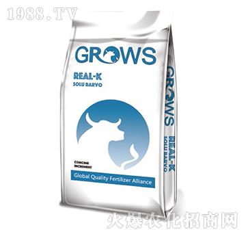 ���܏ͺϷ�-���_ʩ-��ʢ����