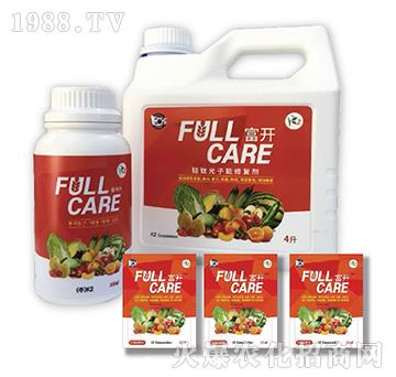 ����ޏ̈́�-���_-��ʢ����