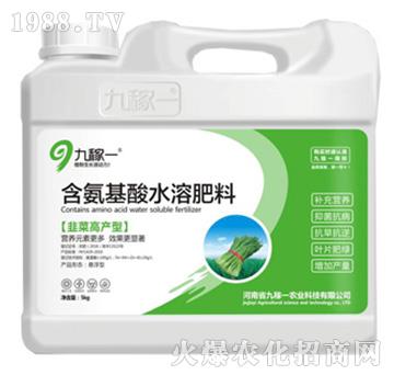 韭菜高產(chǎn)型含氨基酸水溶肥料-九稼一