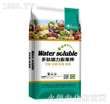 ���Ĵ�������-ꖹ�|�r(n��ng)