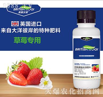 草莓專用含氨基酸水溶肥料-英朗沃奇