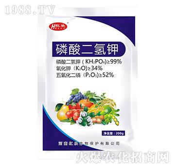 ��������-�t��