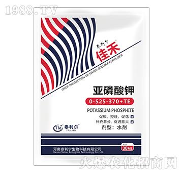 30ml�������0-525-370+TE-�Ѻ�-̩����