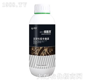 沼澤紅假單胞菌-細(xì)菌靈-泰利爾