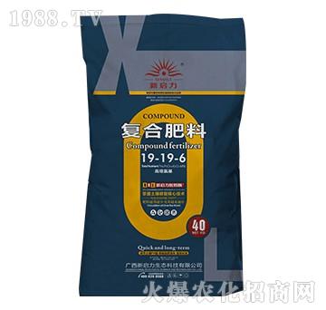 ��(f��)�Ϸ���19-19-6-����