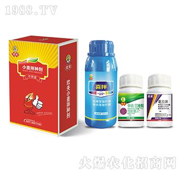 小麥拌種劑套餐-歡夫喜拌-大澤農(nóng)業(yè)