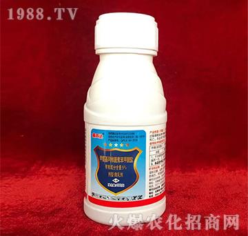 5%�װ������S���ر������}-�����_(d��)-���_(d��)�r(n��ng)ˎ