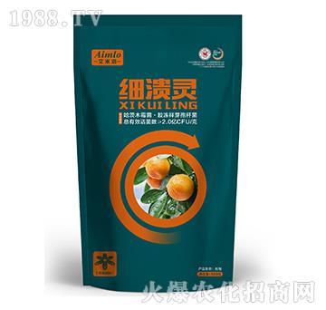 ϲ���`-������