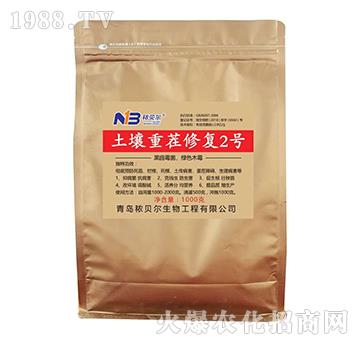 �����ز��ޏ�(f��)2̖-��ؐ��