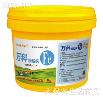 �w���F-�f��