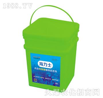 ����ʿ-�f��