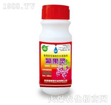 ��������ֲ�����L�{�턩