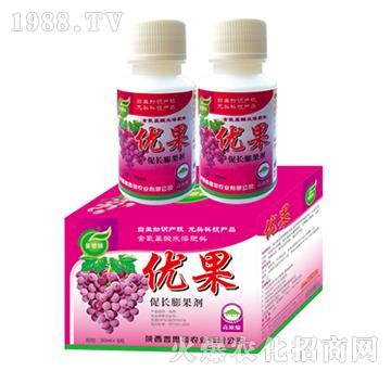 ���L�����-��(y��u)��-��˼�D�r(n��ng)�I(y��)