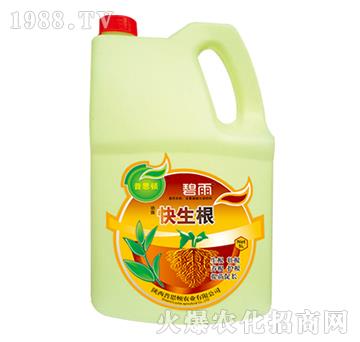 ������-����-��˼�D�r(n��ng)