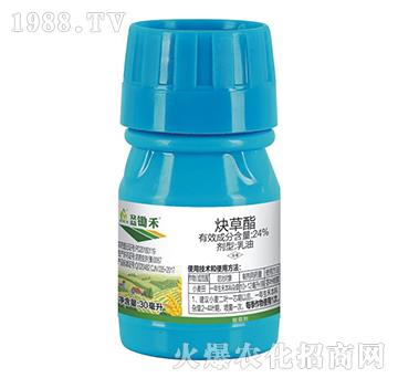 24%Ȳ����-�����z��-�����S