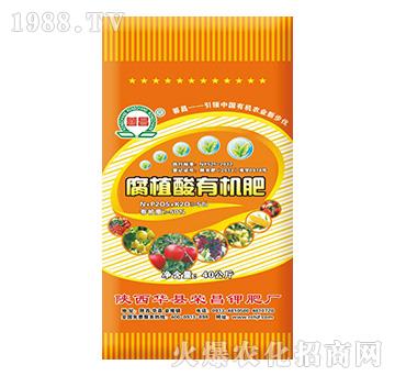 50%��ֲ���ЙC��-�s��