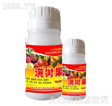 �M���-��������