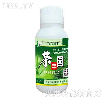 ���~���ô�ѿ����-���S�@-��������