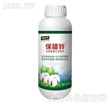 �����-�����-��ʘI(y��)