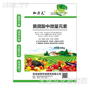 �S������΢��Ԫ��-����������