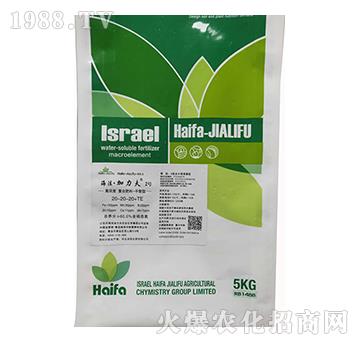 ƽ���͏�(f��)�Ϸ���20-20-20+TE-����������2̖(h��o)-����������