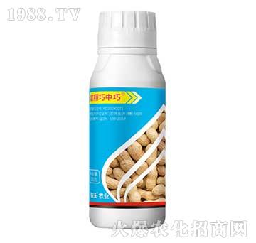 ���������ɸ�Ч��N��-���r�I(y��)