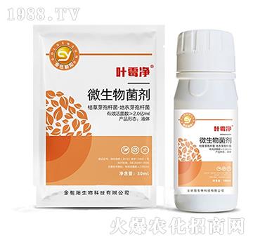 ΢�������-�~ù��-���