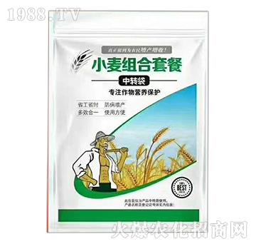 С���M���ײ�-�������