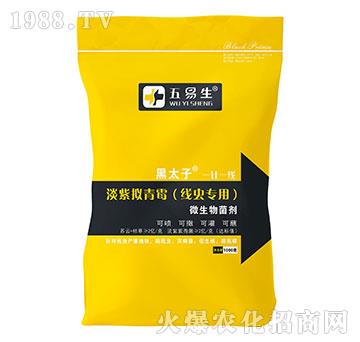 線蟲專用淡紫擬青霉-黑太子-五易生