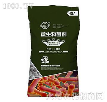 ΢�������-�H�i���B(t��i)