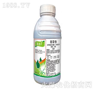 200��ÿ�����ݿ�-����ţ-�ݵ�˹